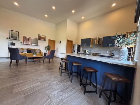 Premium Apartment | Private kitchen | Fridge, oven, blender, cookware/dishes/utensils