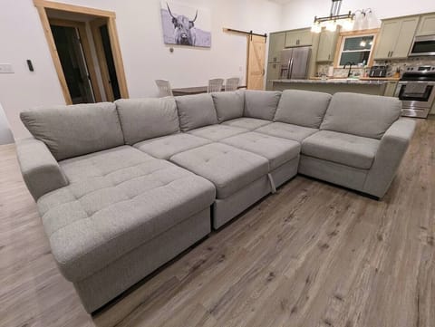 Sleeper Sofa