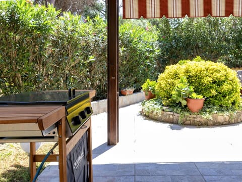 Wood, Shade, Wood Stain, Garden, Outdoor Furniture, Backyard, Outdoor Table, Outdoor Structure, Hardwood, Yard