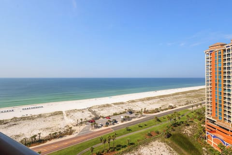 Aerial view of pristine white sand beach and coastal roadway lined with palms, stretching alongside turquoise Gulf waters under clear blue skies.
