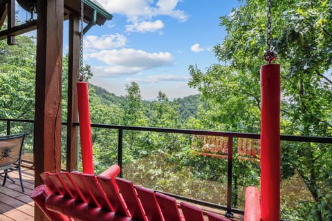 entry level deck with swing and view