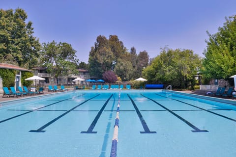 Seasonal outdoor pool, open 7:00 AM to 10:00 PM, pool umbrellas