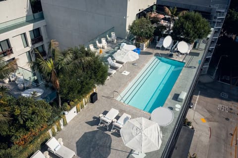 Discover the full rooftop pool deck and lounge areas.