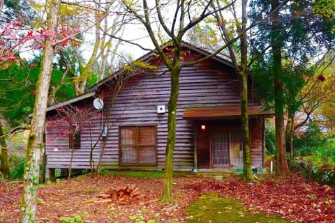 A house in the woods