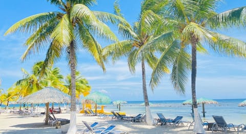 On the beach, white sand, beach bar