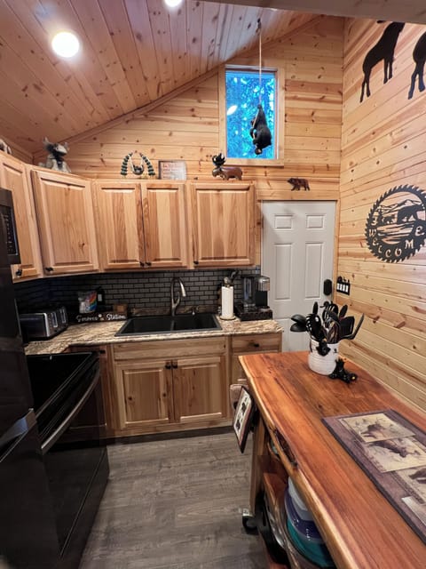 Guest cabin kitchen.