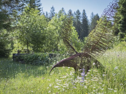 Groundcover, Garden, Lawn Ornament, Botanical Garden