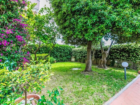 Green, Leaf, Shrub, Garden, Spring, Lawn, Yard, Landscaping, Shade, Backyard