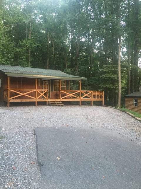Front Cabin View