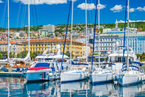 Marina