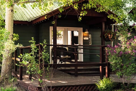 Snake River Cabin | Terrace/patio