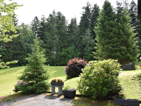 Leaf, Green, Shrub, Garden, Woody Plant, Landscaping, Larch, Lawn, Botanical Garden