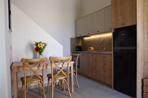 Fridge, oven, stovetop, electric kettle