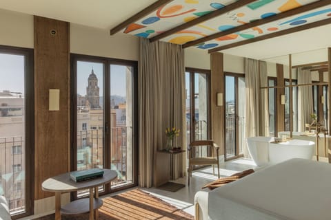 Junior Suite (Extra ME+ | Alcazaba View) | View from room