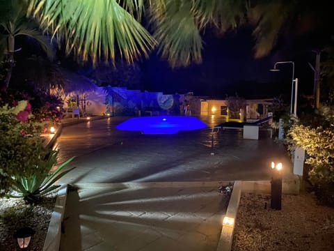 garden by night