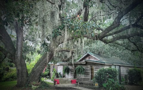 The LiTTle House