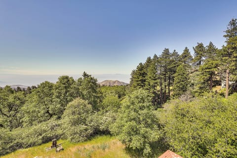 Running Springs Vacation Rental | 3BR | 2BA | Stairs Required | 1,694 Sq Ft
