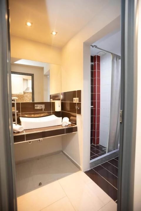 Deluxe Studio | Bathroom | Shower, free toiletries, towels, soap