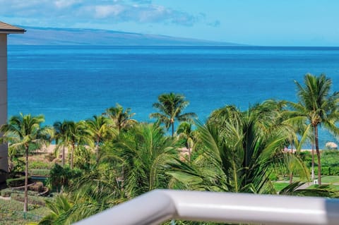 Balcony paradise: ocean breeze, swaying palms, tranquil tropical island view. HKH-620