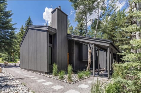 Architectural mountain retreat with striking design and peaceful wooded surroundings.