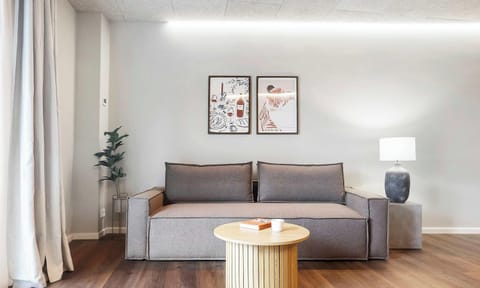 Living area with a very comfortable sleeping sofa, that sleeps 2 people.