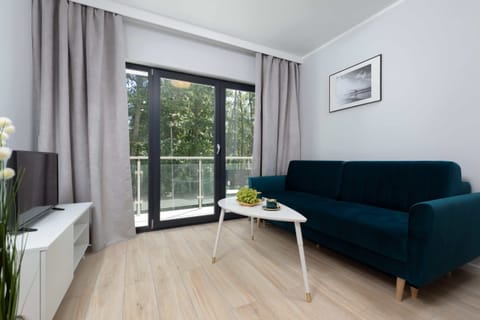 The living area features a sleek coffee table and a flat-screen television.
