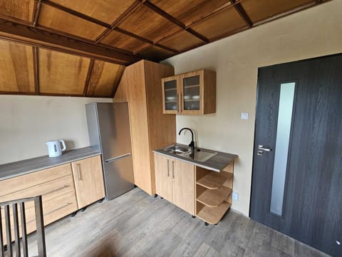Standard Apartment | Private kitchen