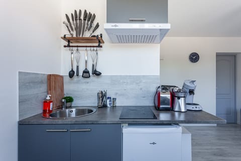 Family Apartment, 1 Double Bed with Sofa bed, Kitchenette, City View | Private kitchen | Mini-fridge, microwave, stovetop, highchair