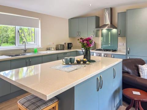 Kitchen | Ridge View Lodge - Alderneuk Lodges, Dumfries