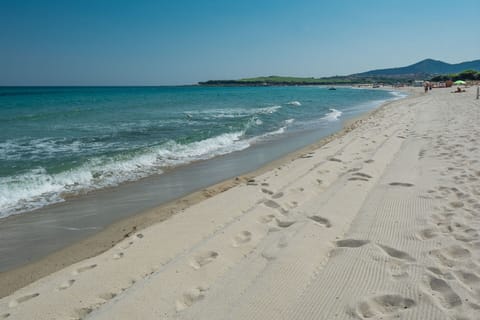 Activities, Autumn, Outdoor, Spring, Summer