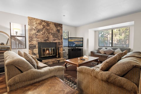 TV, fireplace, DVD player
