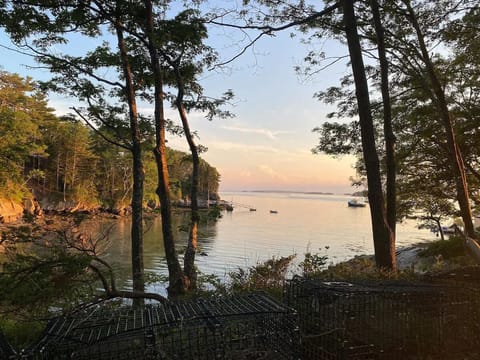 Amazing views from the cabin!