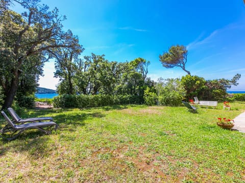 Blue, Shrub, Plant Community, Sea, Ocean, Coast, Garden, Shade, Tropics, Lawn