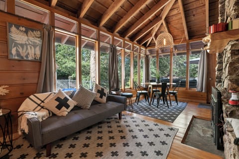 Basic Cabin, Patio, Mountain View | Living area | TV, fireplace, DVD player