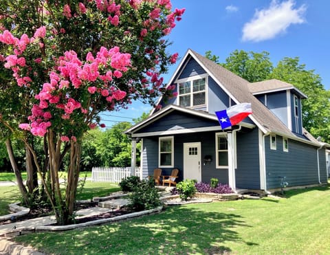 The Texas Bluebonnet