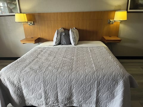 Basic Single Room, 1 Queen Bed, Non Smoking | Desk, laptop workspace, iron/ironing board, free WiFi