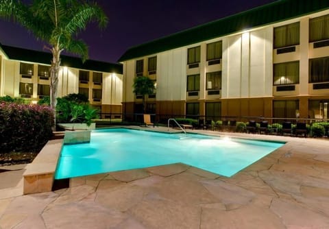 Unwind with a twilight swim under glowing courtyard lights.