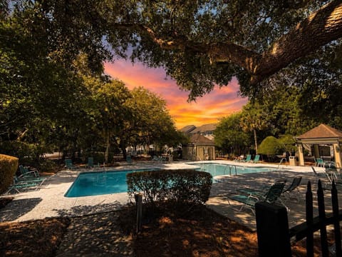 Complex Pool for the Villa