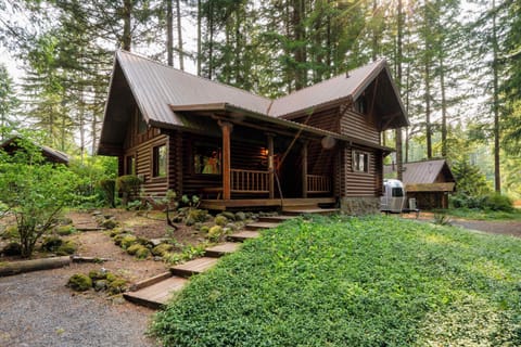 The whole compound in one shot: the log cabin nestled in ferns with an Airstream tucked behind. Two homes, two Airstreams, and two hot tubs on one private lot.