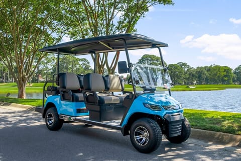 Brand New 6 Seat Golf Cart