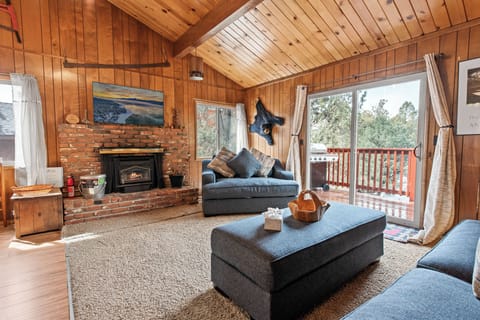 TV, fireplace, DVD player