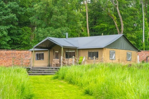 Moorhen - Exton Park at Lantern and Larks