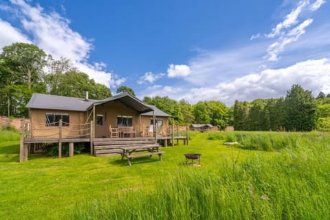 Moorhen - Exton Park at Lantern and Larks