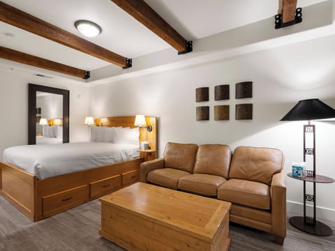 Queen Bed / Sofa Sleeper