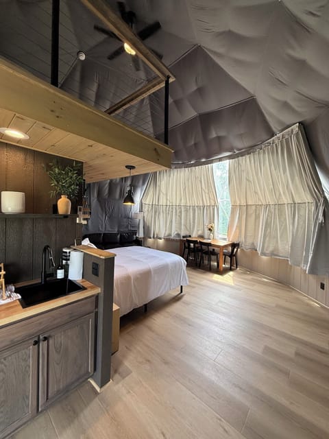 Your view when entering the Dome