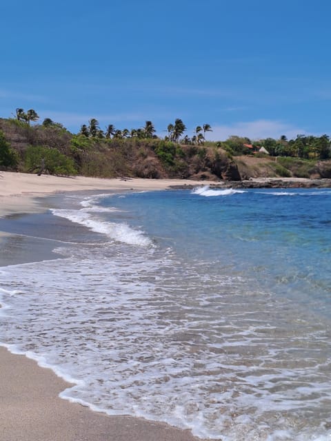 Beach nearby, black sand