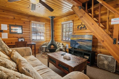TV, fireplace, DVD player
