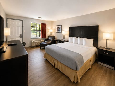 Standard Room, 1 Queen Bed, Non Smoking | Desk, laptop workspace, blackout drapes, iron/ironing board (on request)