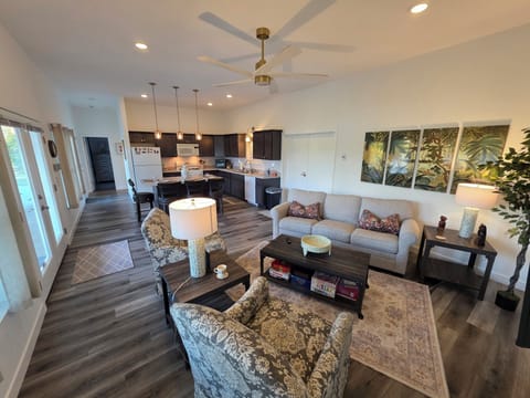 Living Room and Kitchen Area