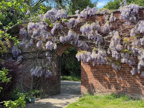 Cottage | Property grounds